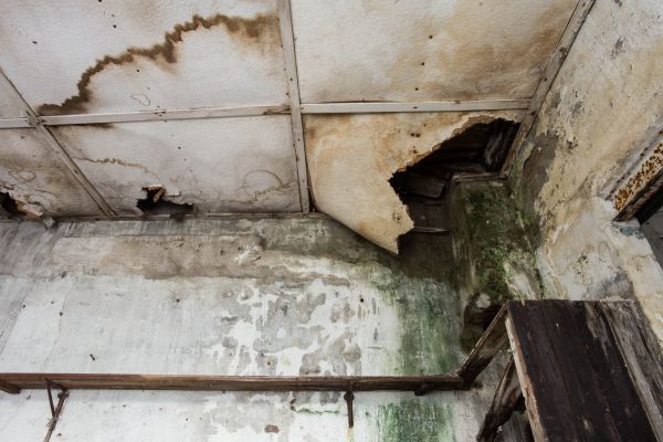 Cost of Water Damage Service in Fallbrook