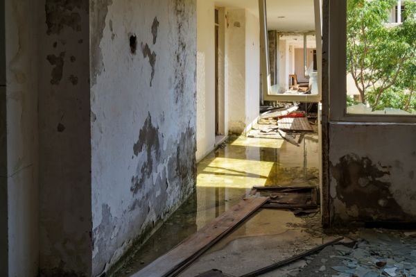 Cost of Water Removal Service in Fallbrook