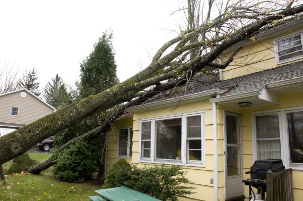 Hurricane Damage Repair in Fallbrook